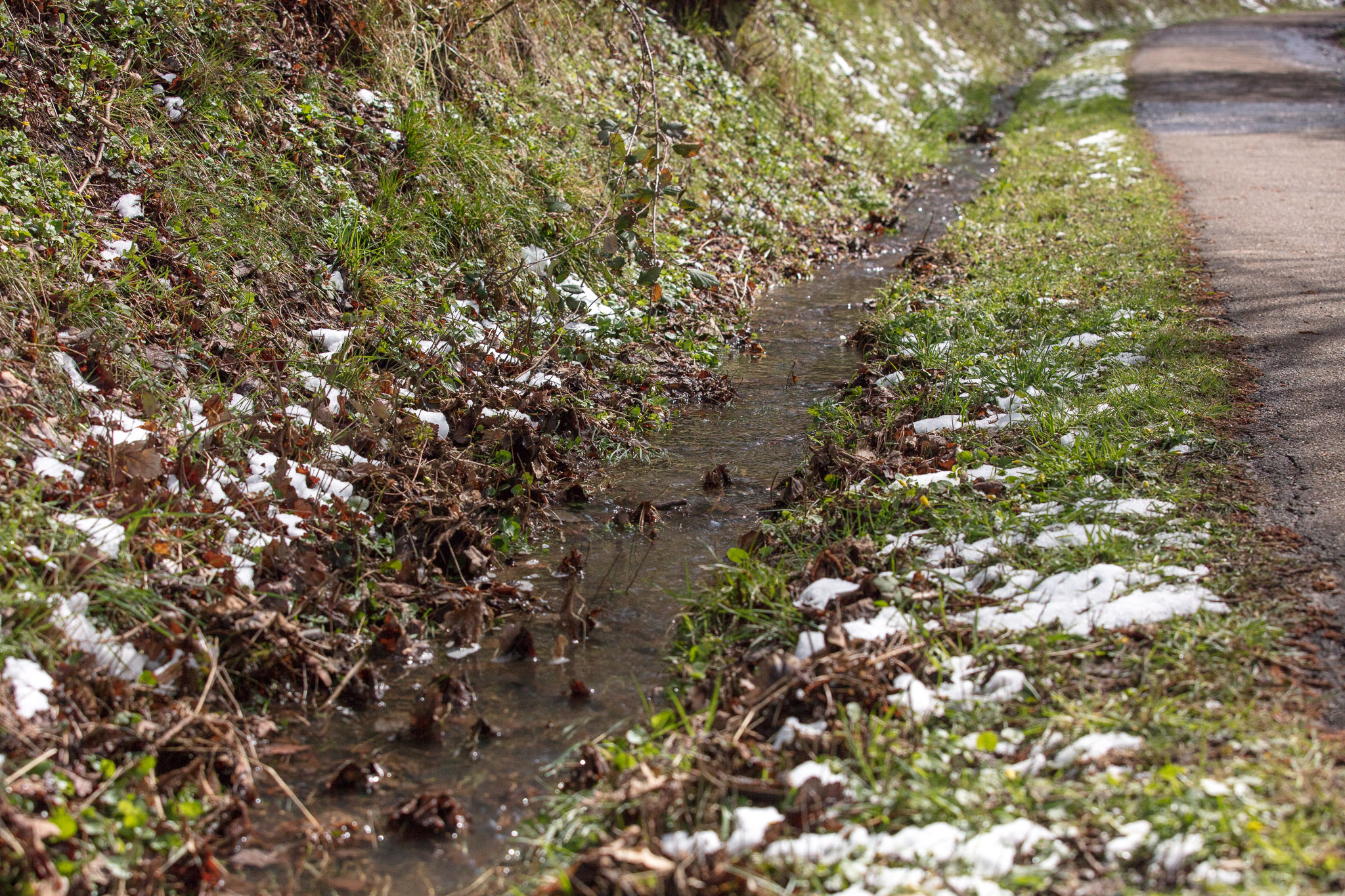 20220409142651 DP013957